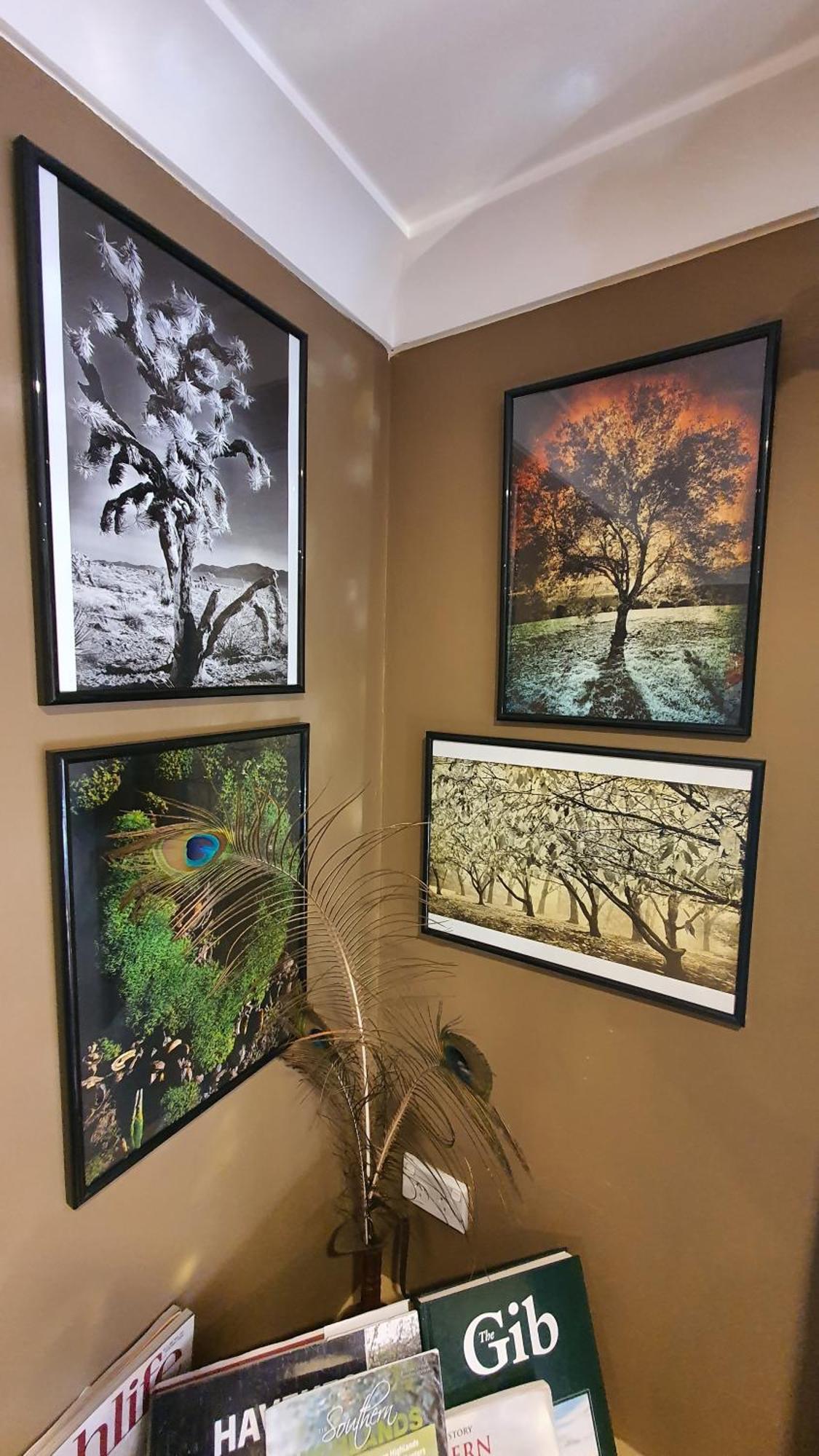 מיטאגונג Bowral Road Art Gallery Bed And Breakfast מראה חיצוני תמונה