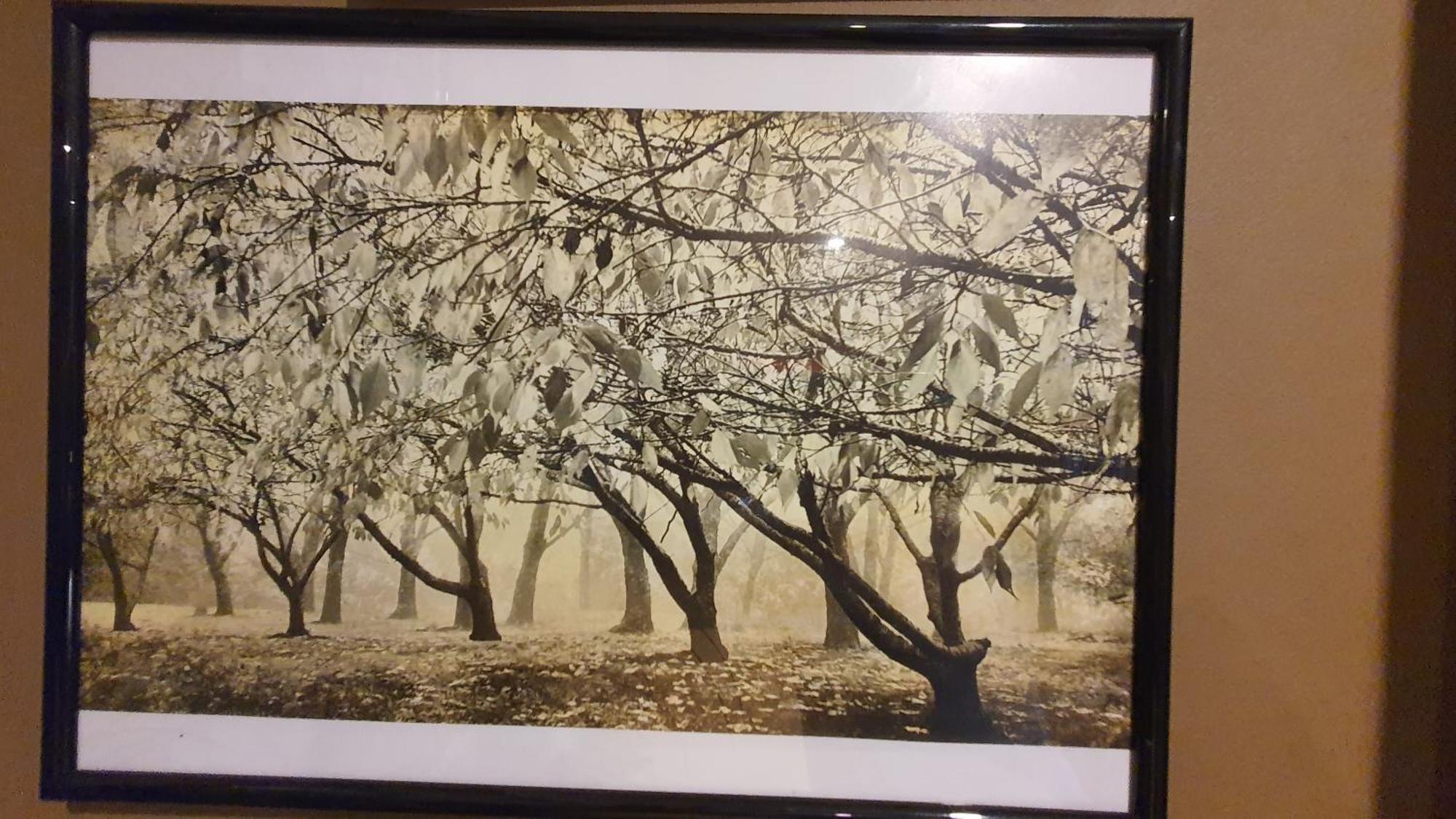 מיטאגונג Bowral Road Art Gallery Bed And Breakfast מראה חיצוני תמונה