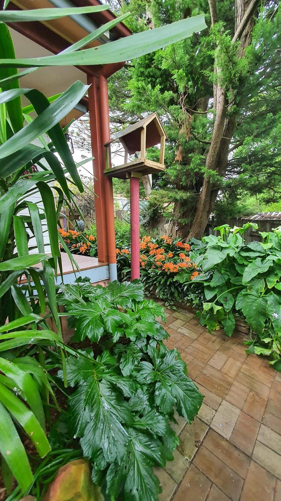 מיטאגונג Bowral Road Art Gallery Bed And Breakfast מראה חיצוני תמונה