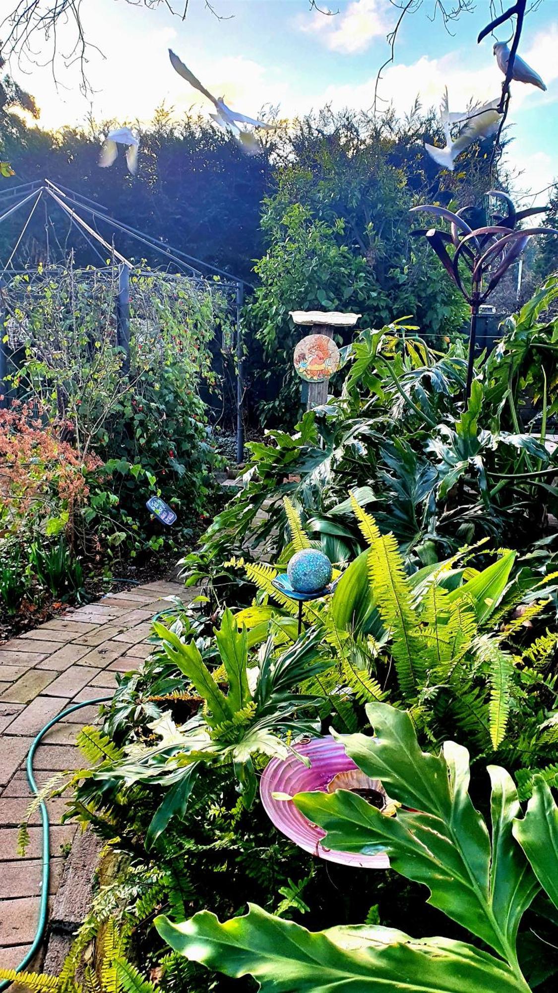 מיטאגונג Bowral Road Art Gallery Bed And Breakfast מראה חיצוני תמונה