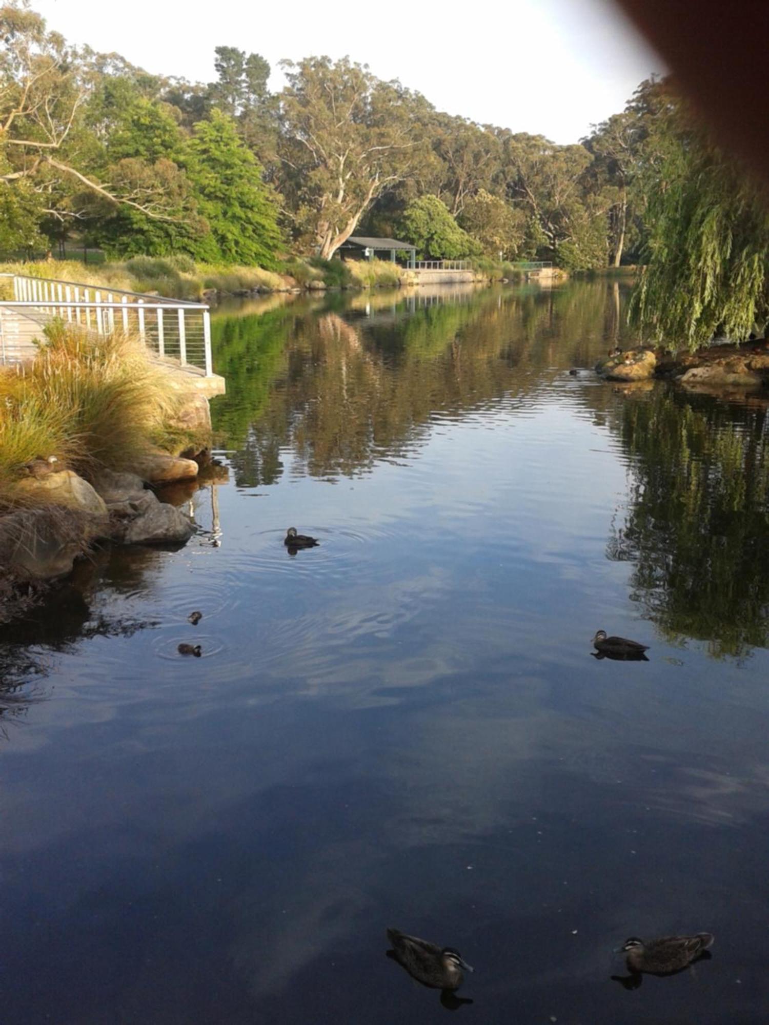 מיטאגונג Bowral Road Art Gallery Bed And Breakfast מראה חיצוני תמונה