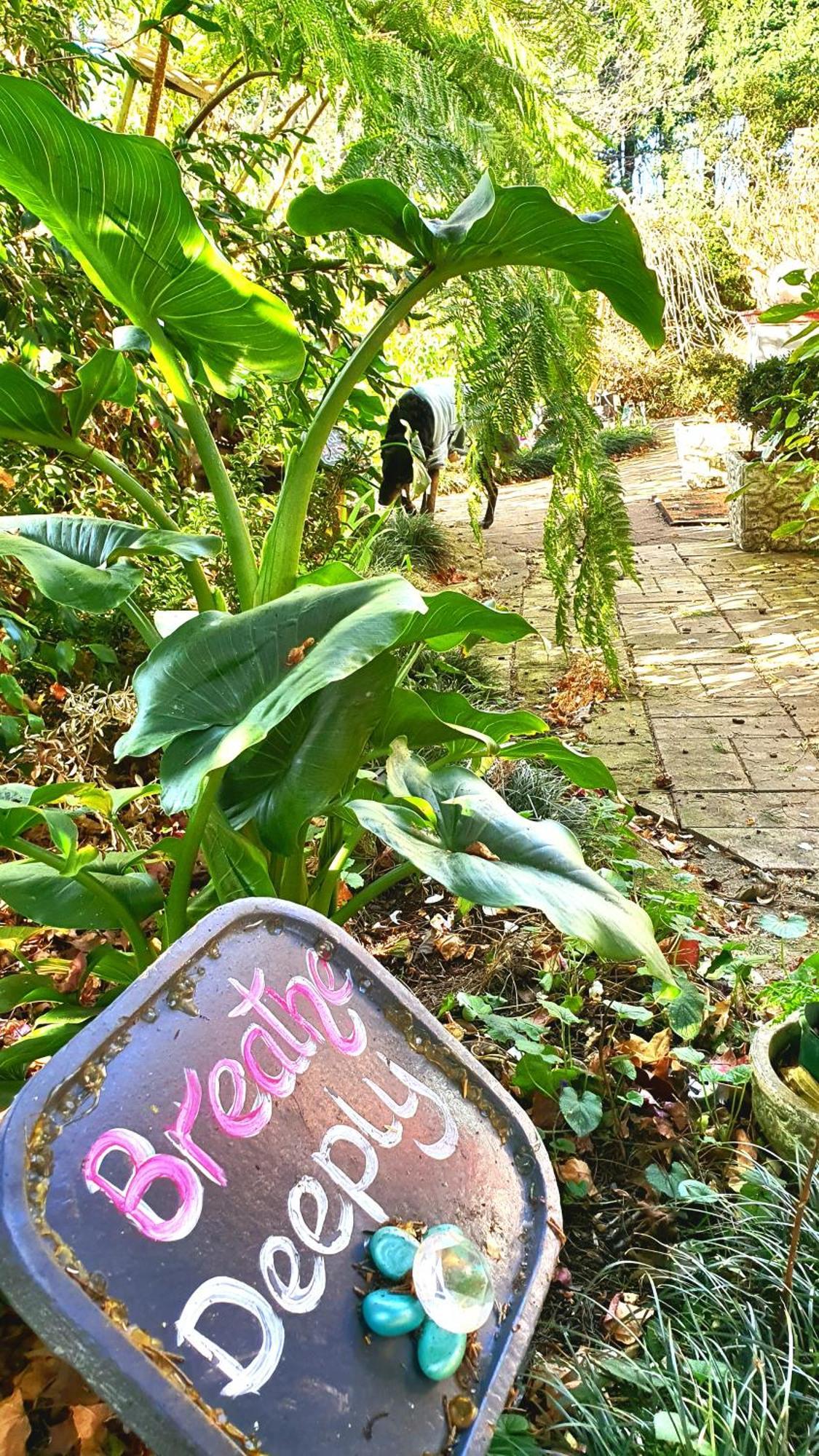 מיטאגונג Bowral Road Art Gallery Bed And Breakfast מראה חיצוני תמונה