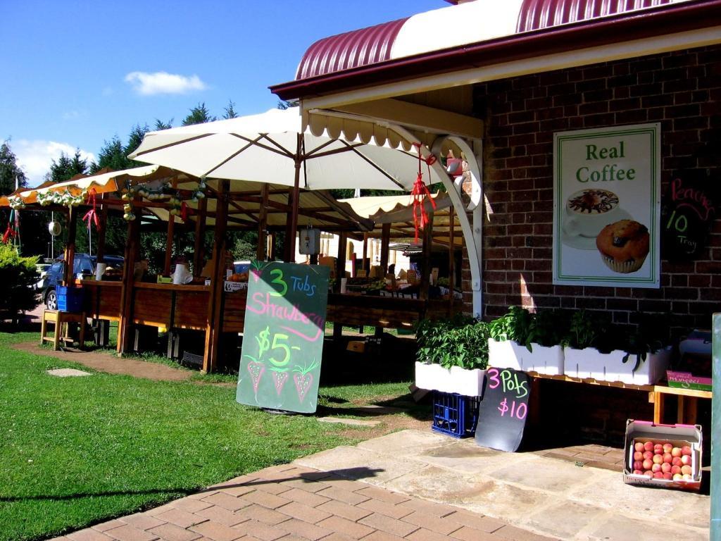 מיטאגונג Bowral Road Art Gallery Bed And Breakfast מראה חיצוני תמונה