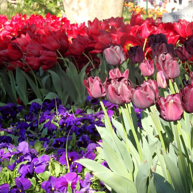 מיטאגונג Bowral Road Art Gallery Bed And Breakfast מראה חיצוני תמונה