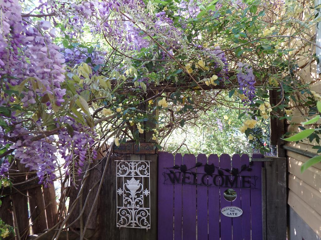 מיטאגונג Bowral Road Art Gallery Bed And Breakfast מראה חיצוני תמונה